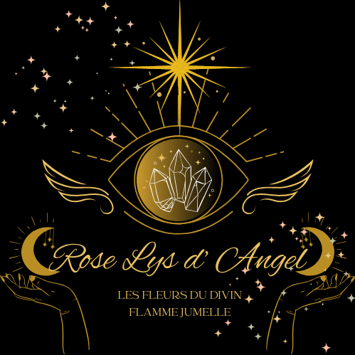 Rose-Lys d' Angel - Les Fleurs du Divin